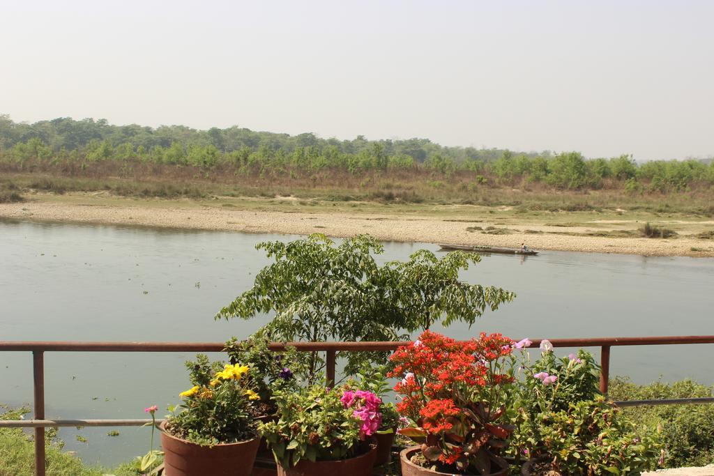Jungle Wildlife Camp Hotel Саураха Екстериор снимка